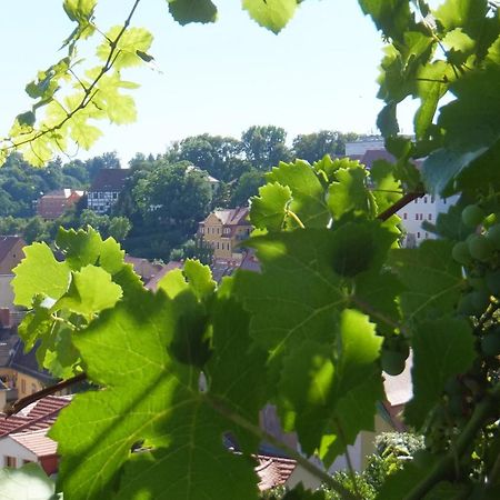 Hotel Schlossberg Мейсен Экстерьер фото