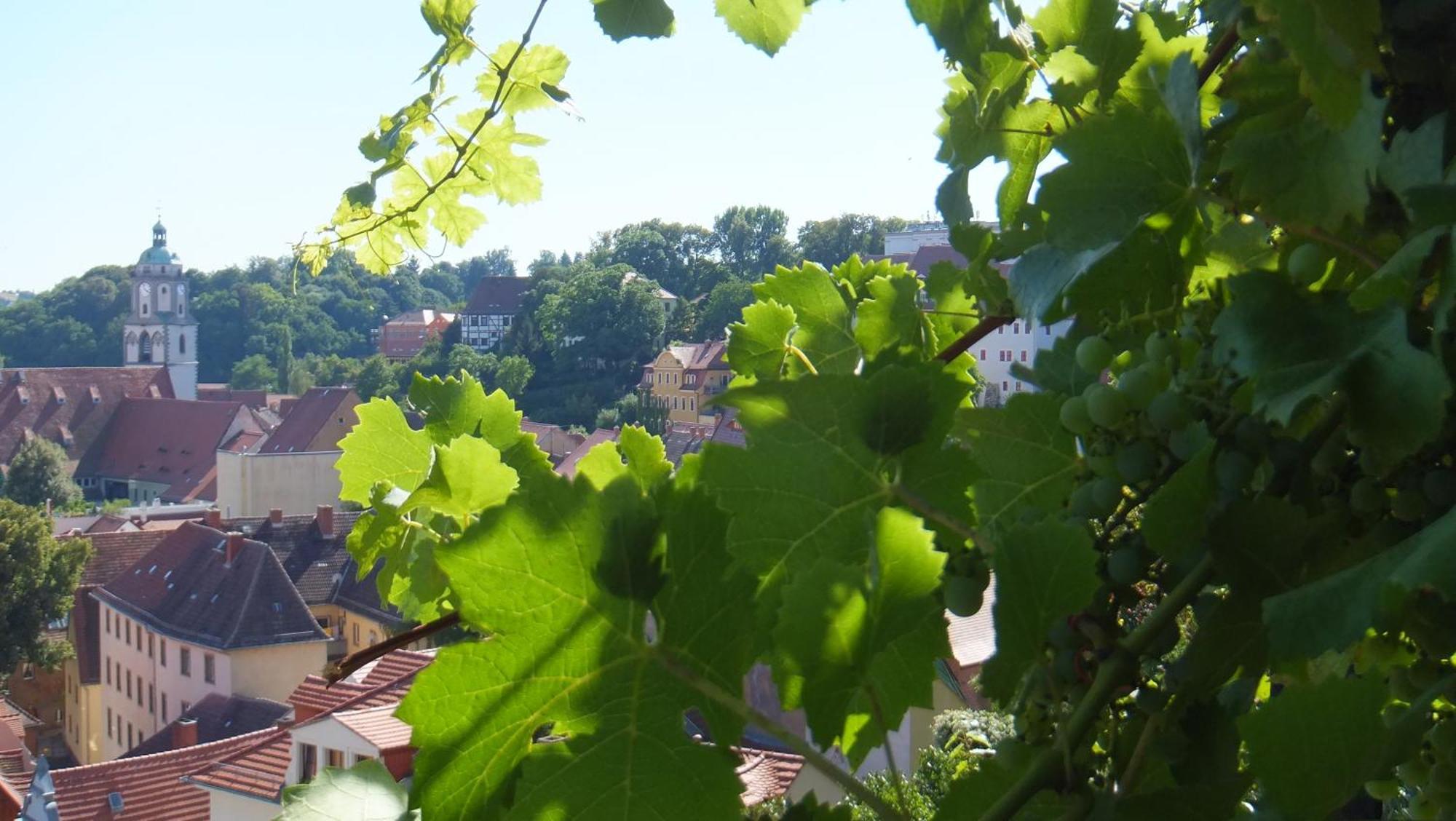 Hotel Schlossberg Мейсен Экстерьер фото
